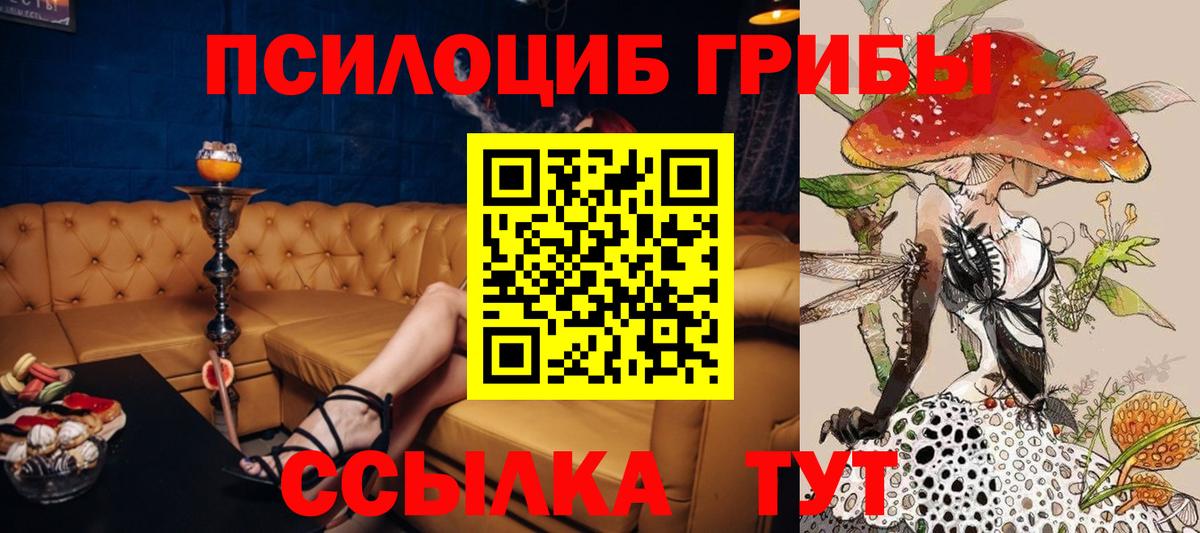 Псилоцибиновые грибы Psilocybine cubensis Нижнеудинск