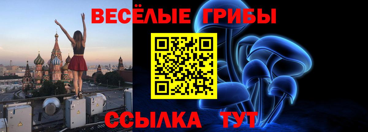 купить  сайты  Псилоцибиновые грибы Psilocybe  Вход с VPN  Нижнеудинск 